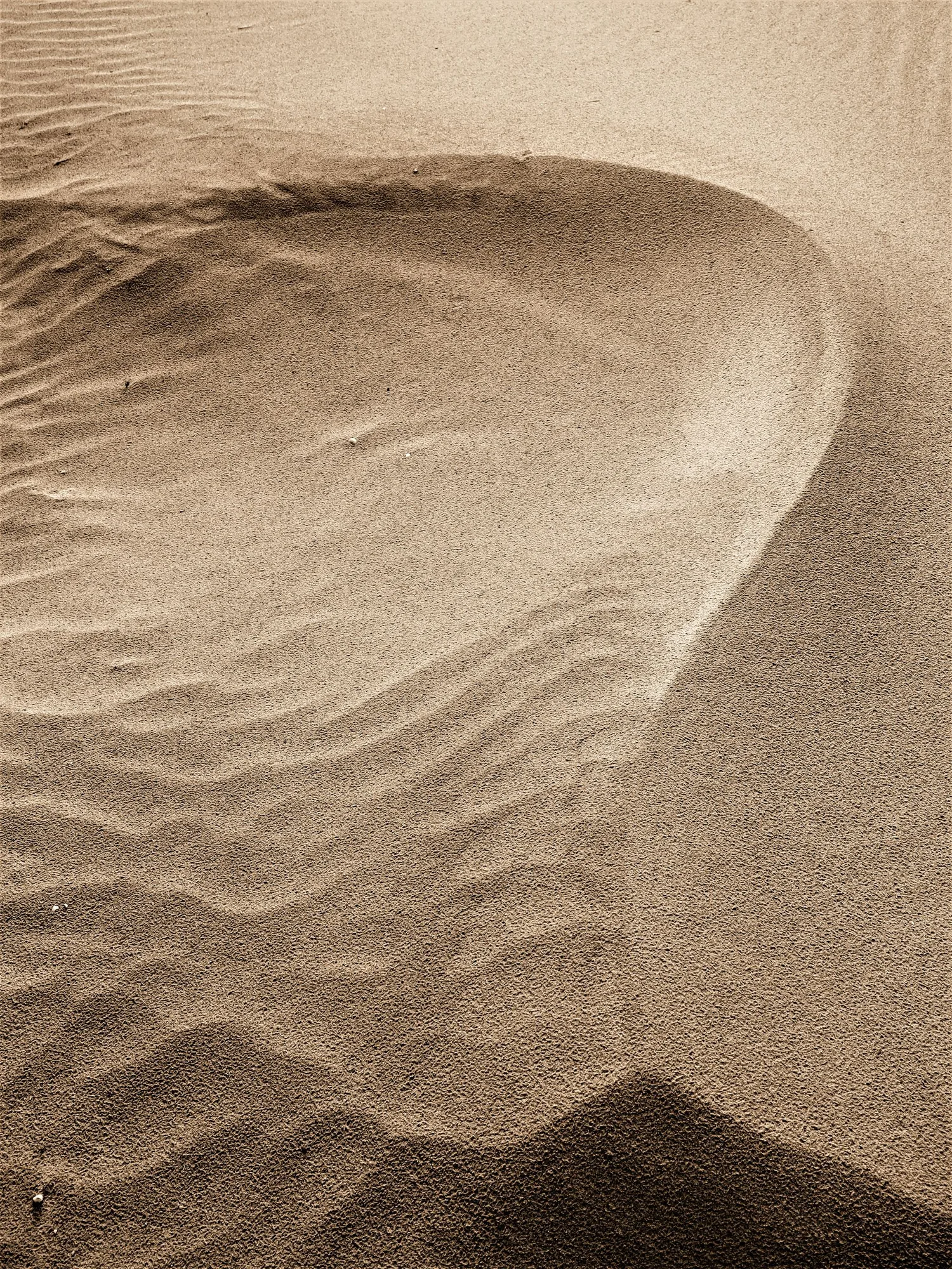 Sand dunes forming soft abstract curves in natural light.