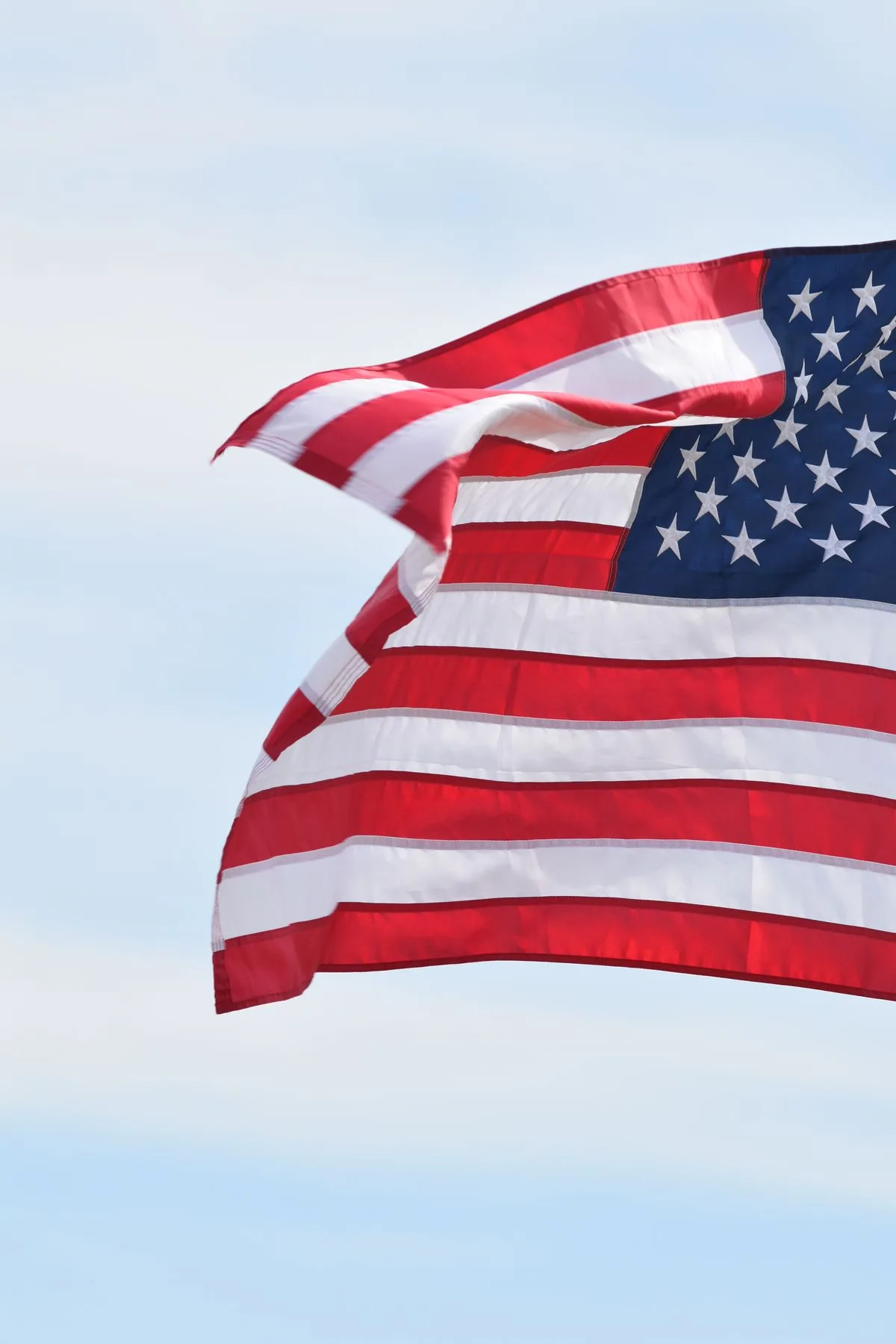 State flag detail