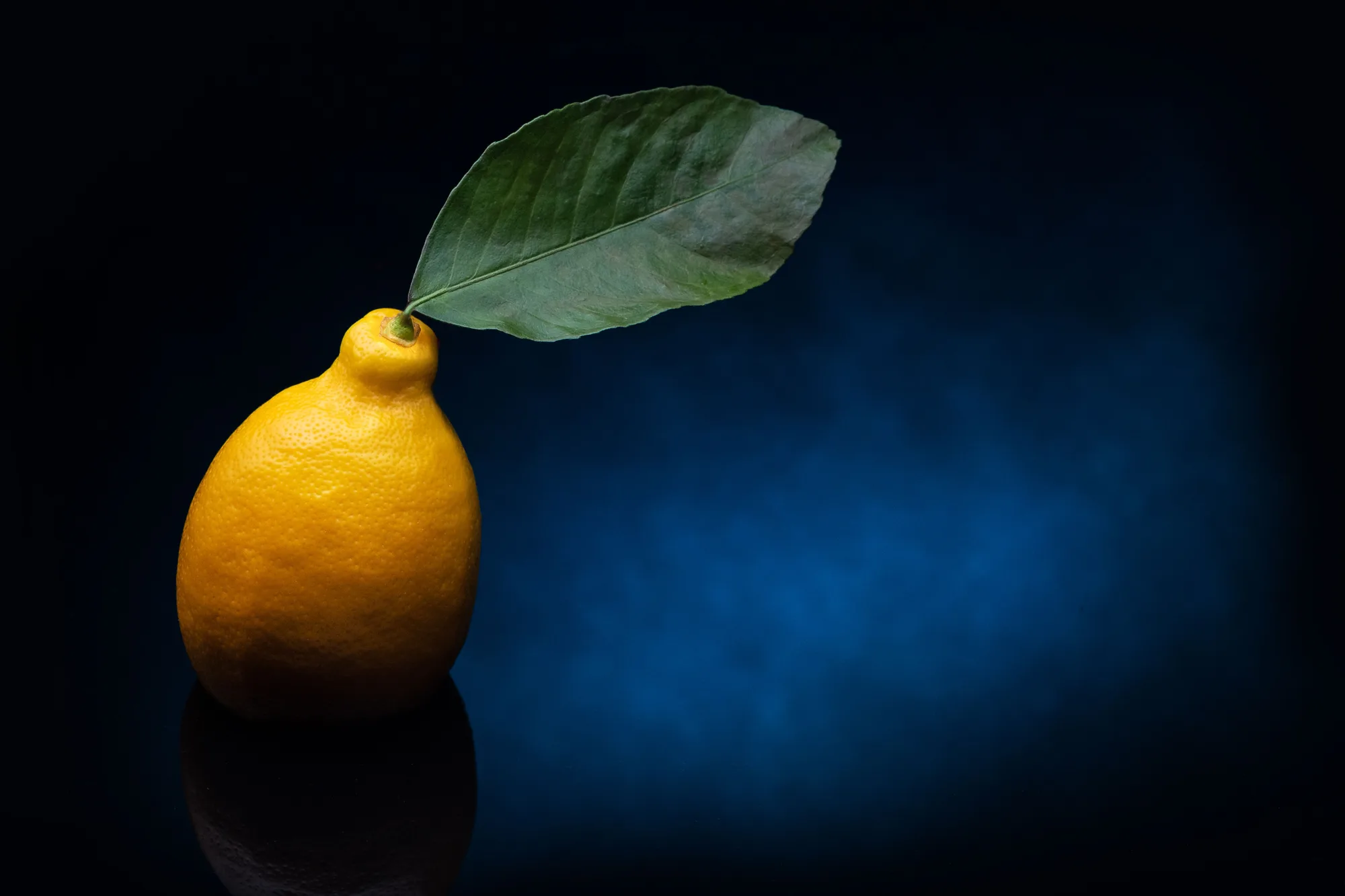 A lemon and green leaf against a blue background