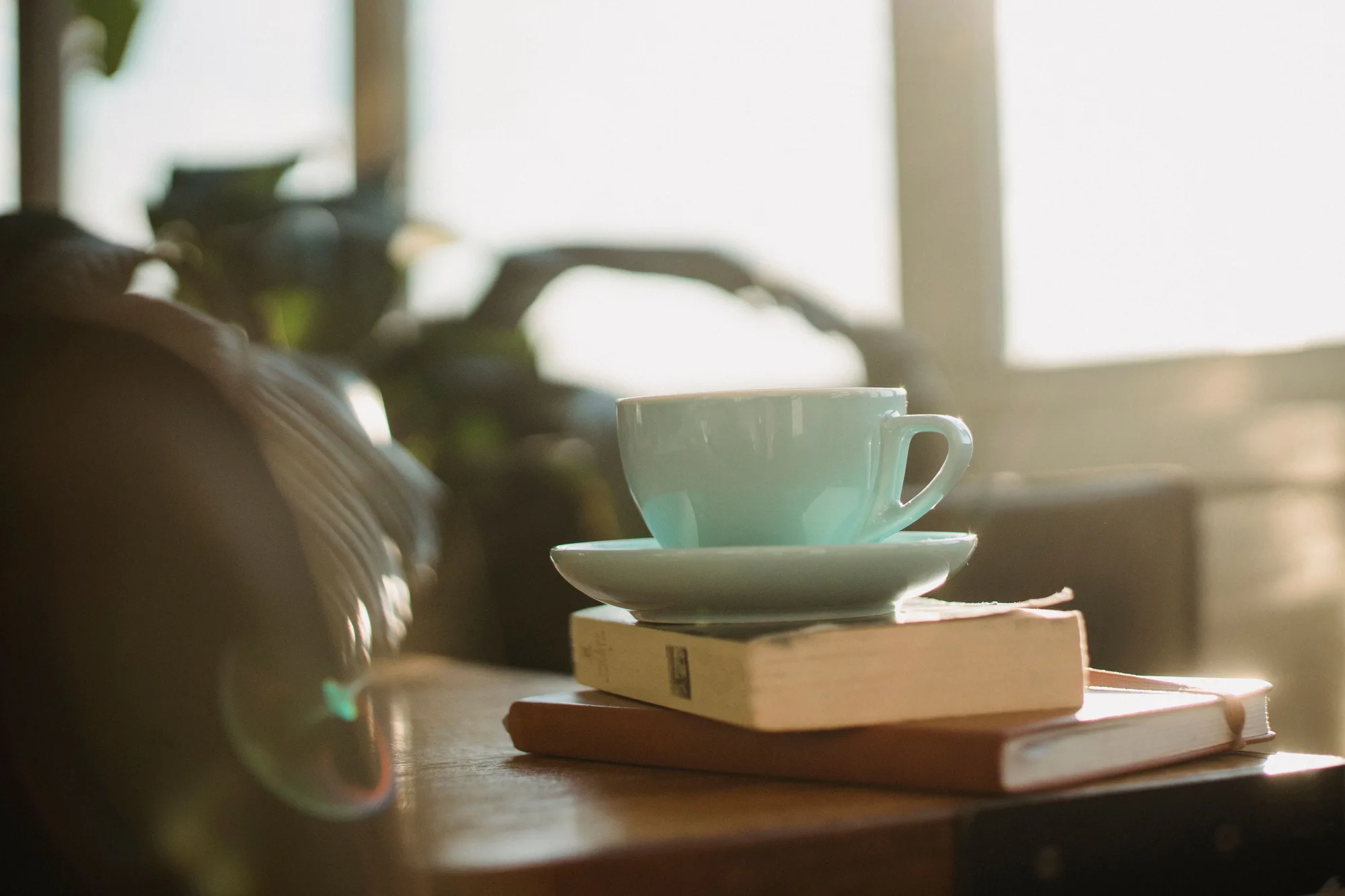 A cup and open books in soft morning light