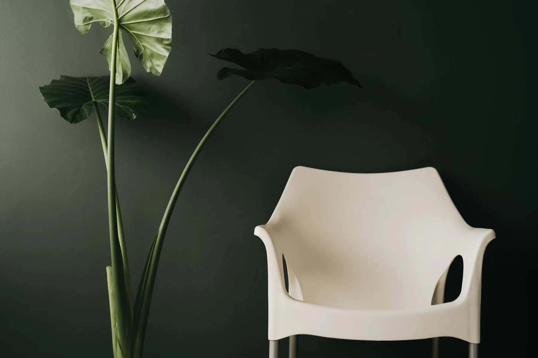 Sculptural white chair against a green wall