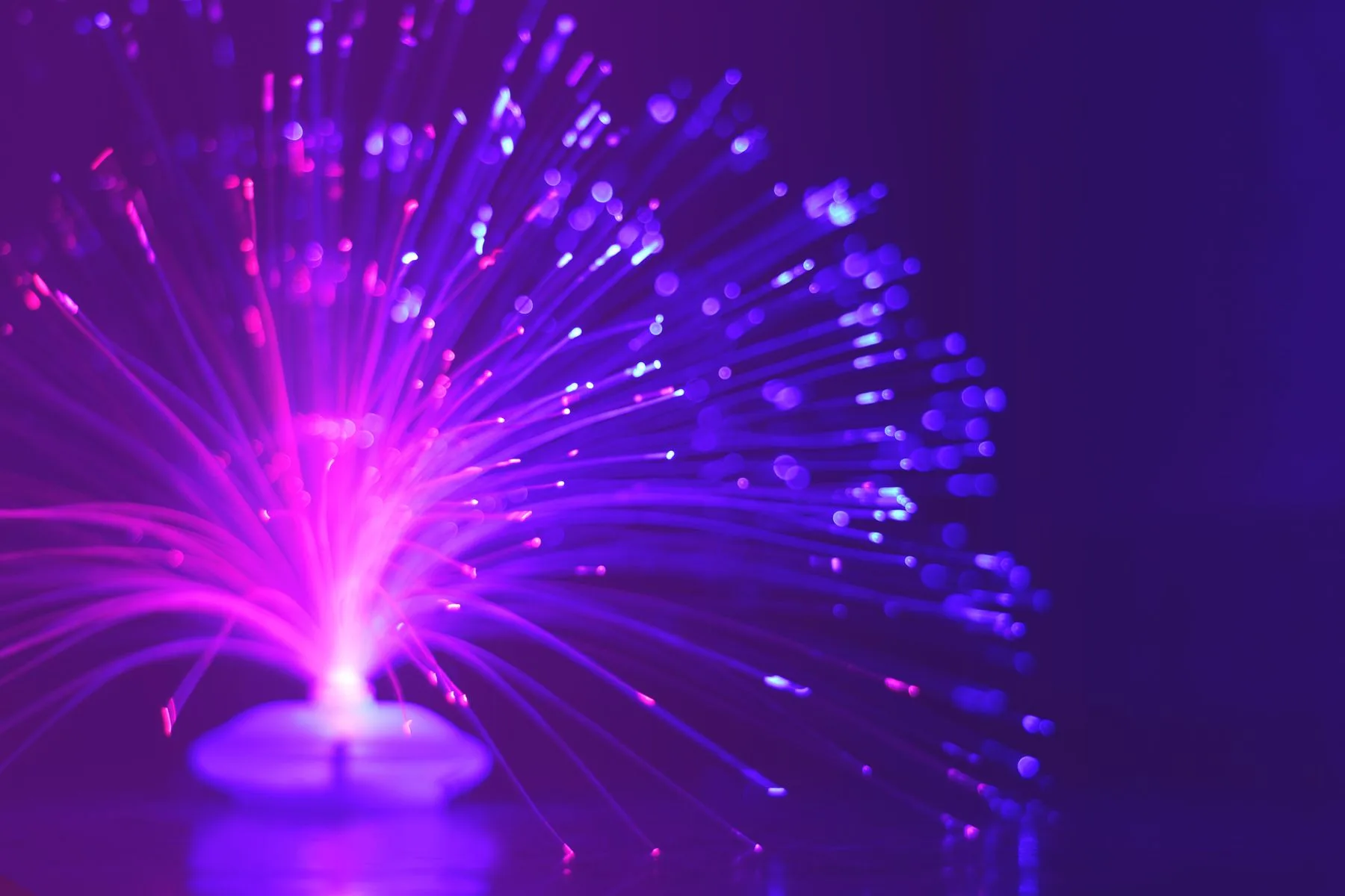 Purple and pink fiber optic light forming a bright abstract fan.