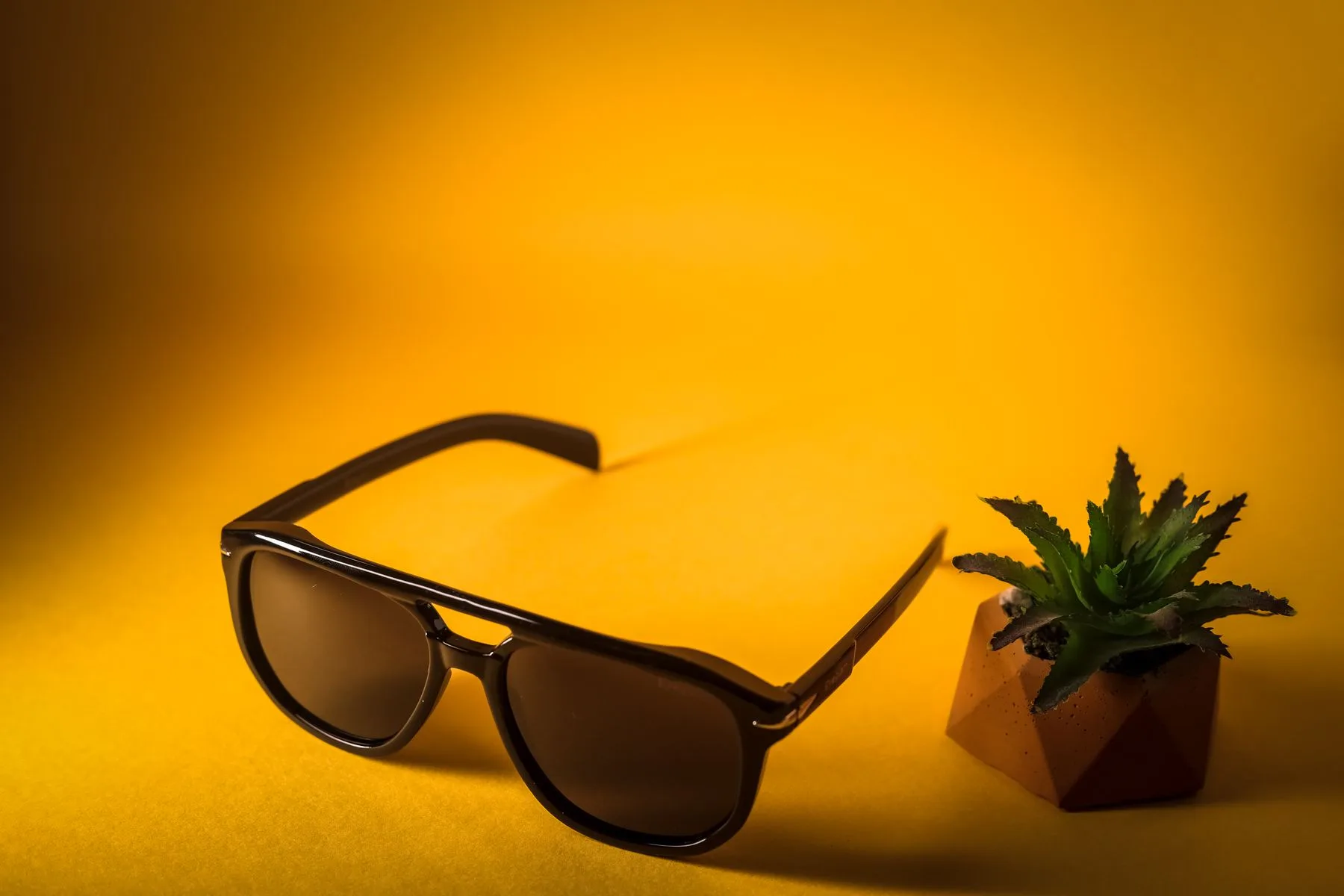 Sunglasses and a small succulent photographed against a vivid yellow background.