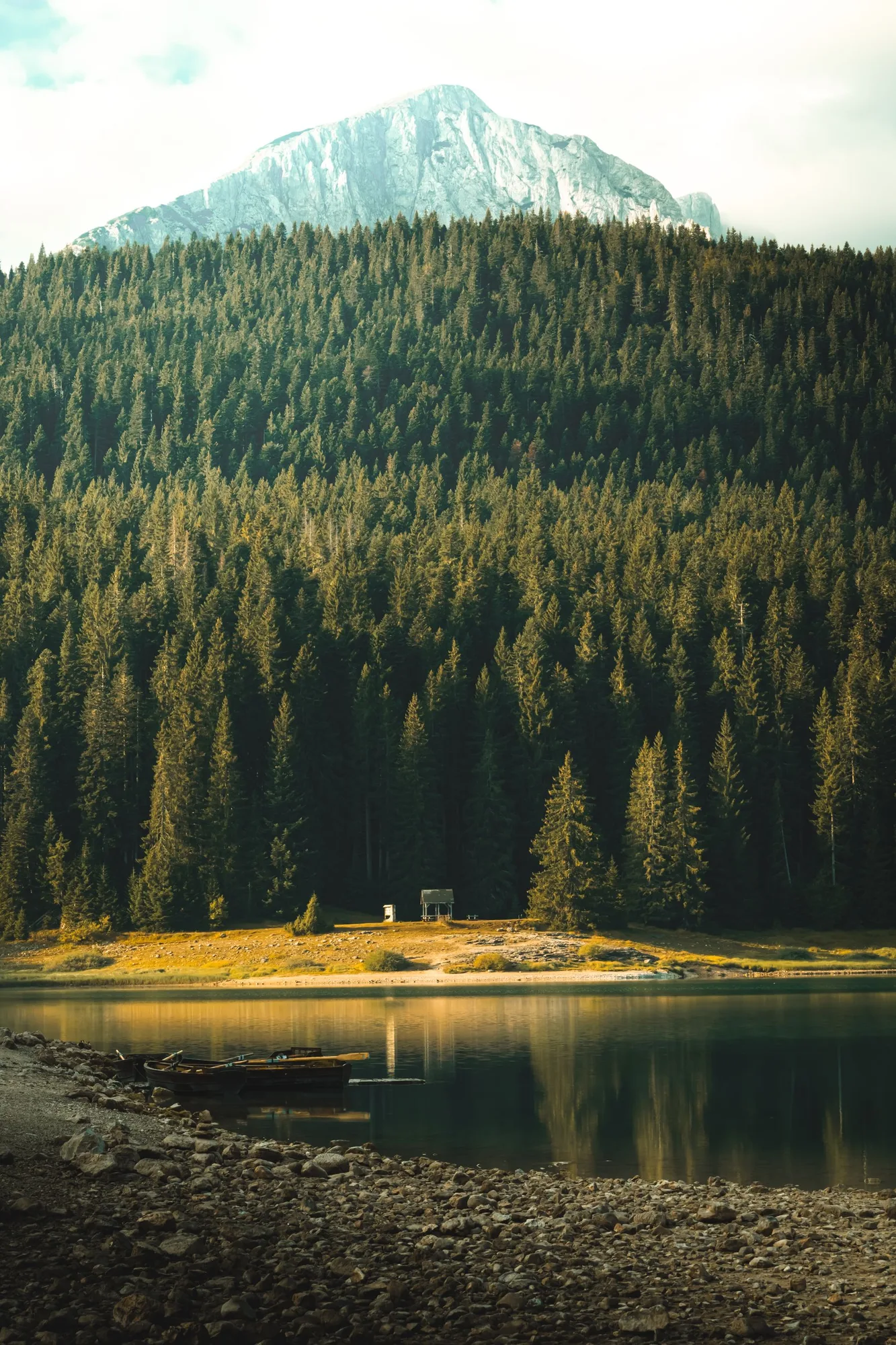 Forested mountains above a peaceful lake