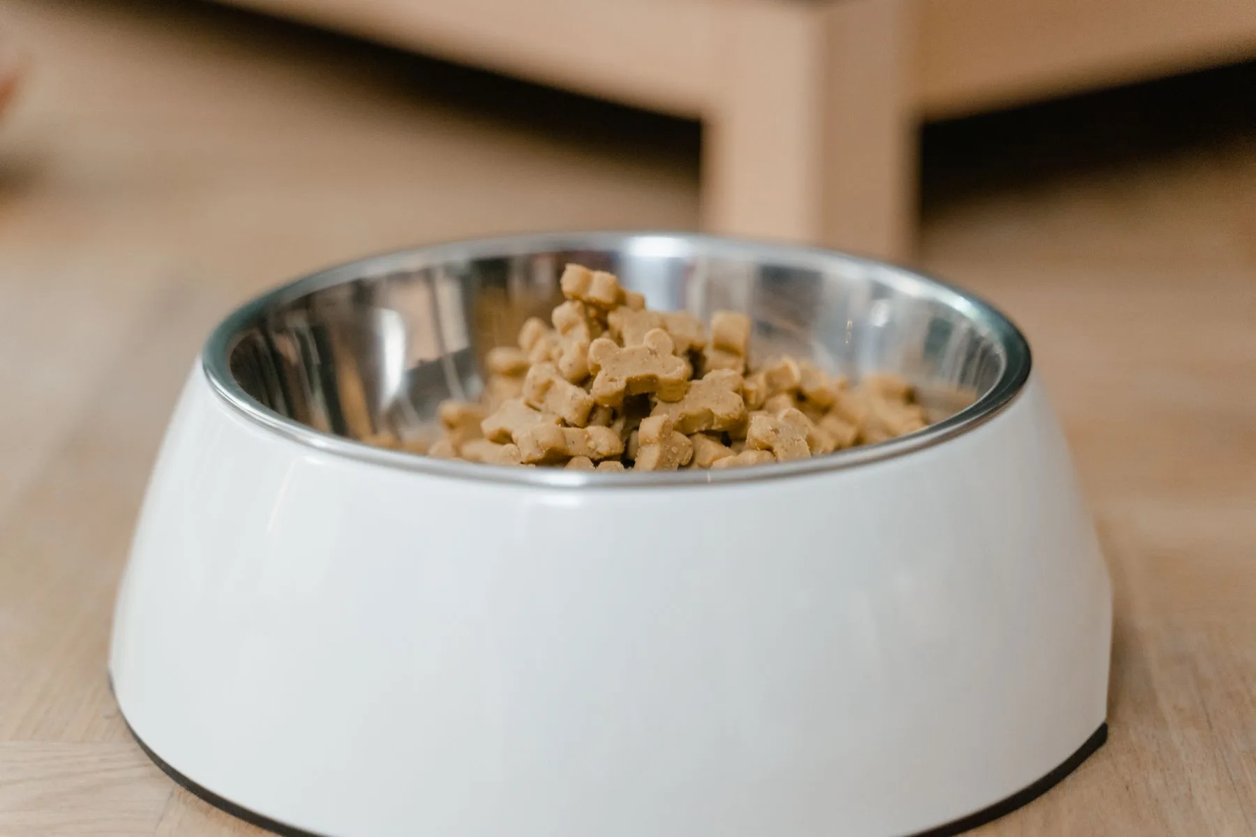 White dog bowl filled with dry food
