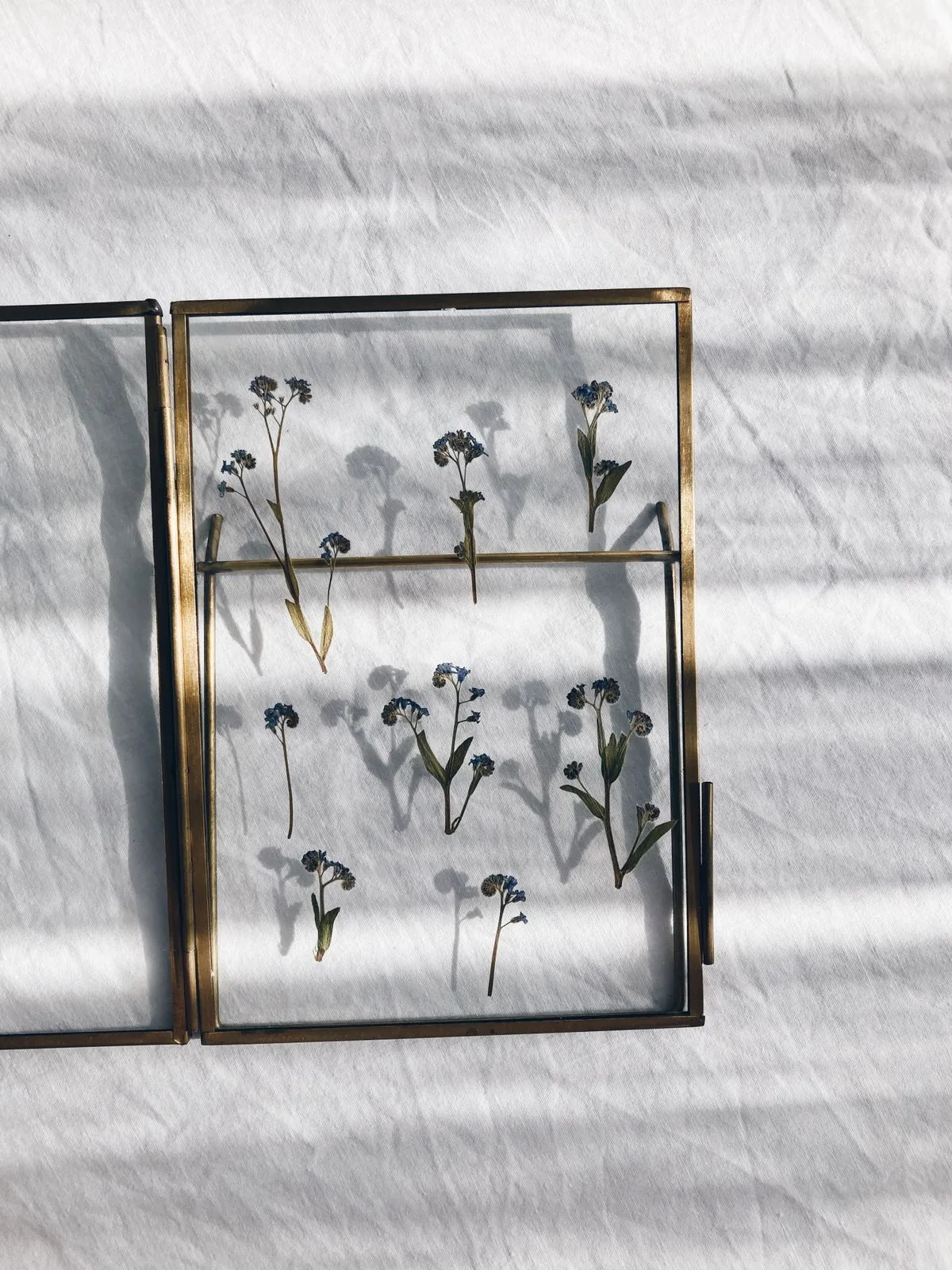 Botanical frame styled on wooden table with linen