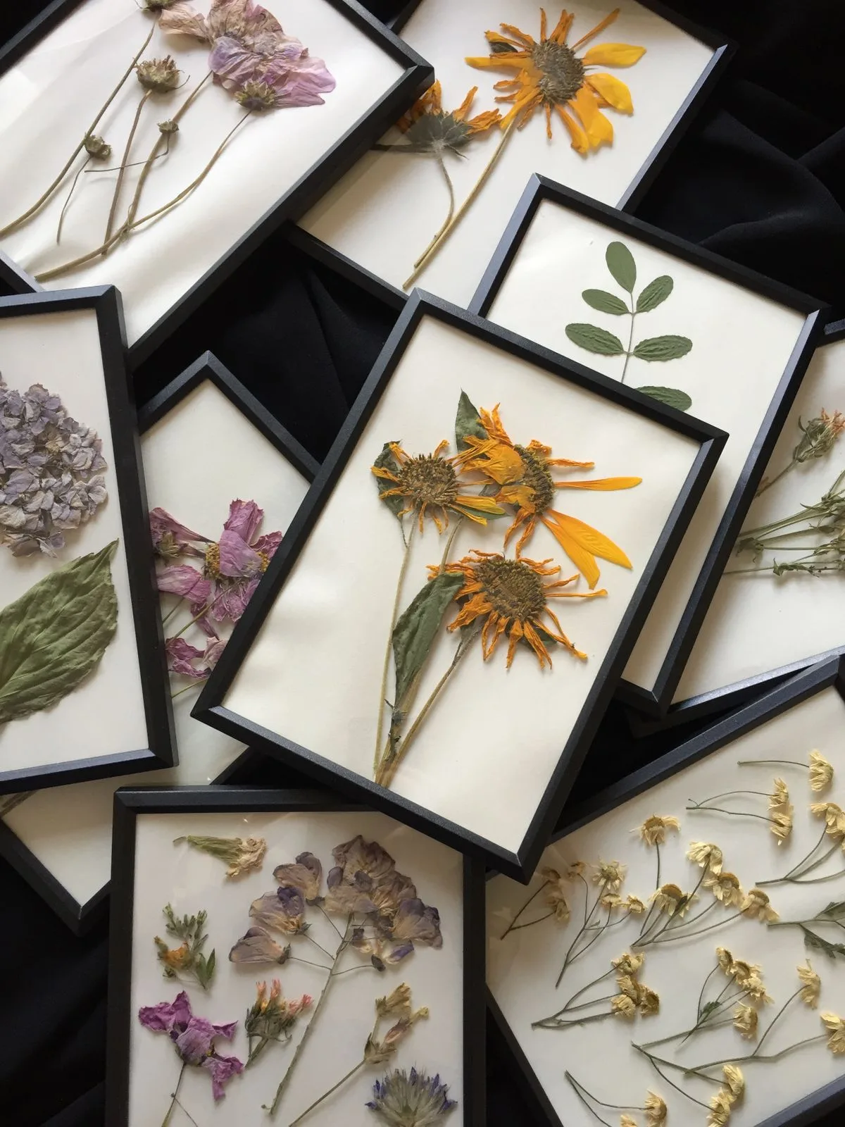 Dried botanical arrangement in artist studio