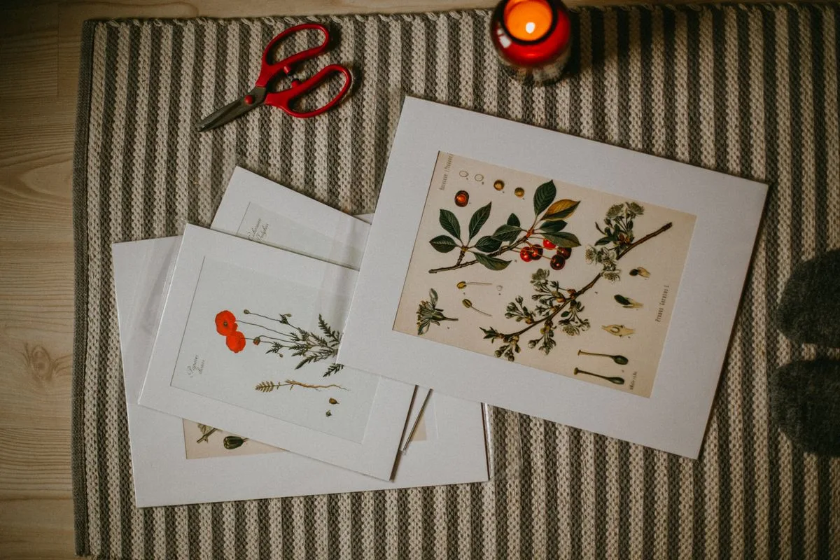 Framed pressed botanical artwork on a linen wall