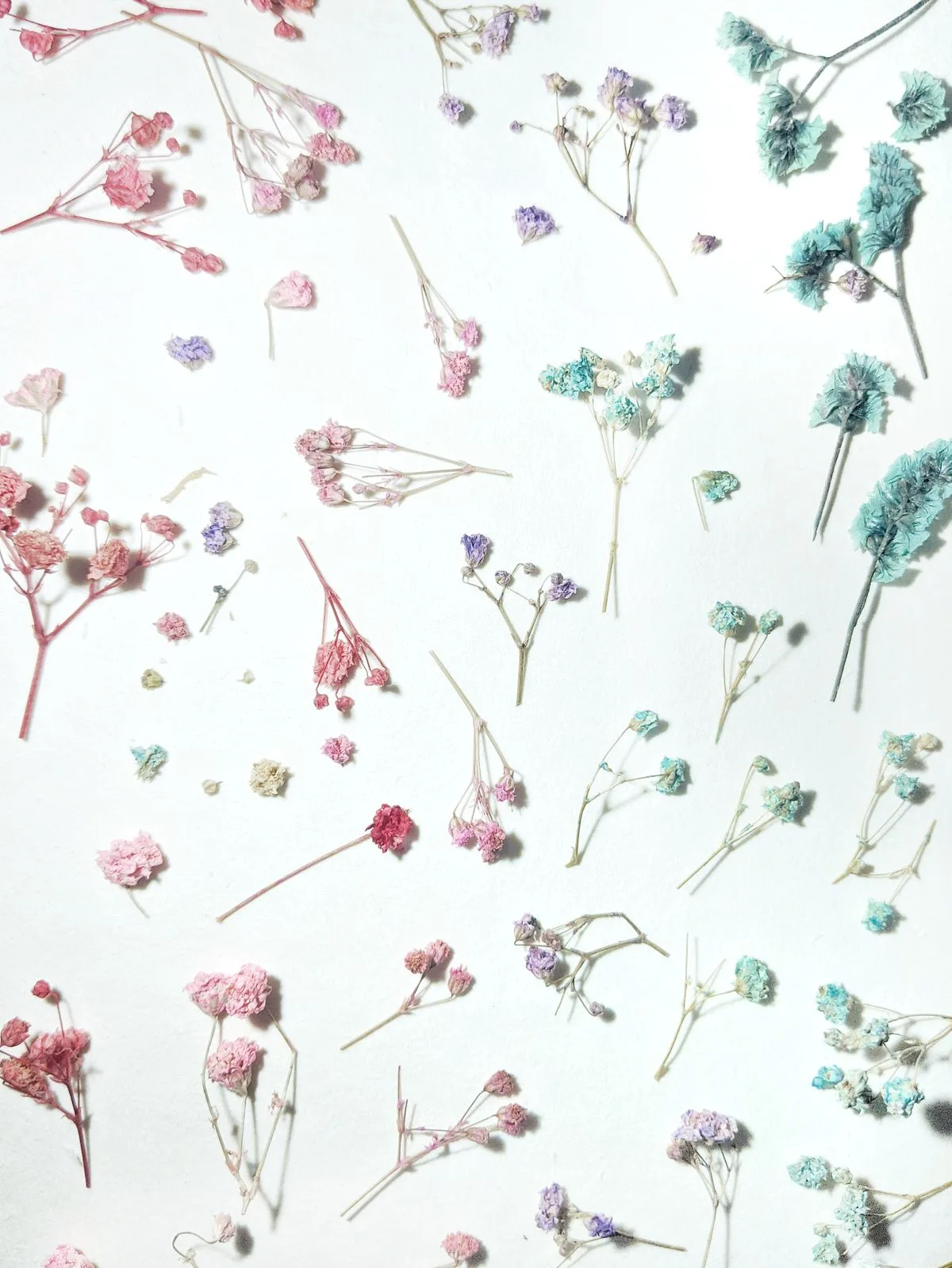Pressed dried flowers arranged on a linen surface