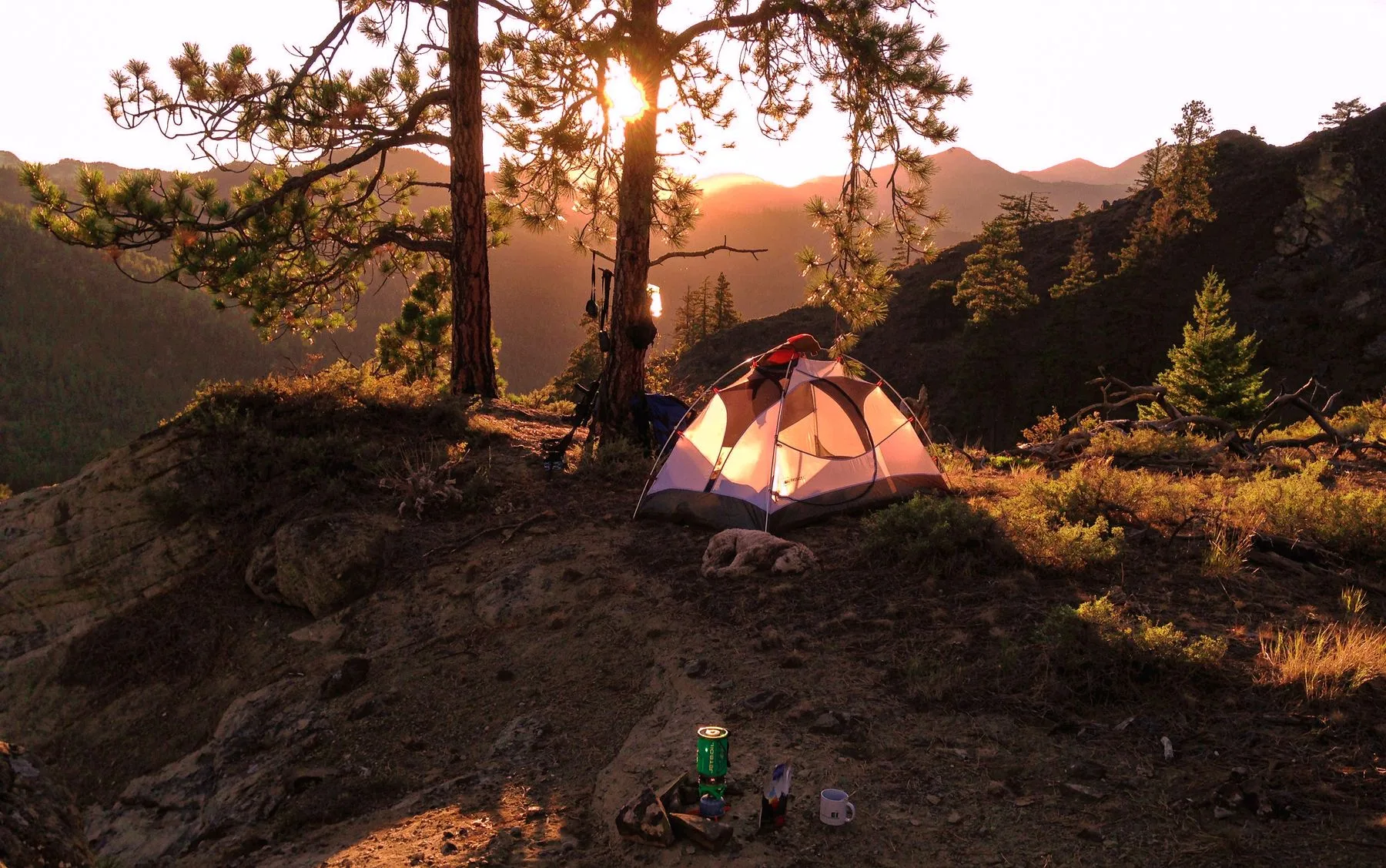 Camping tent beside a mountain forest at sunrise