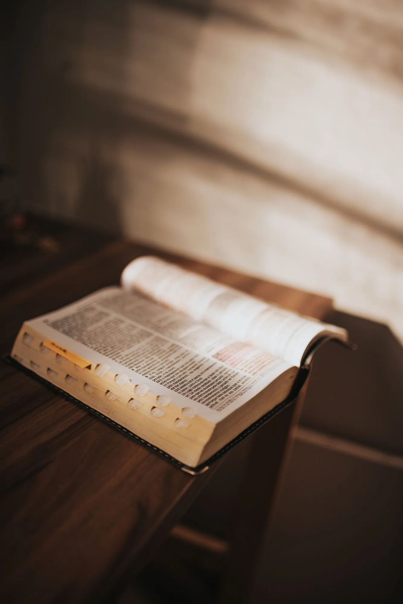 Open book in warm window light