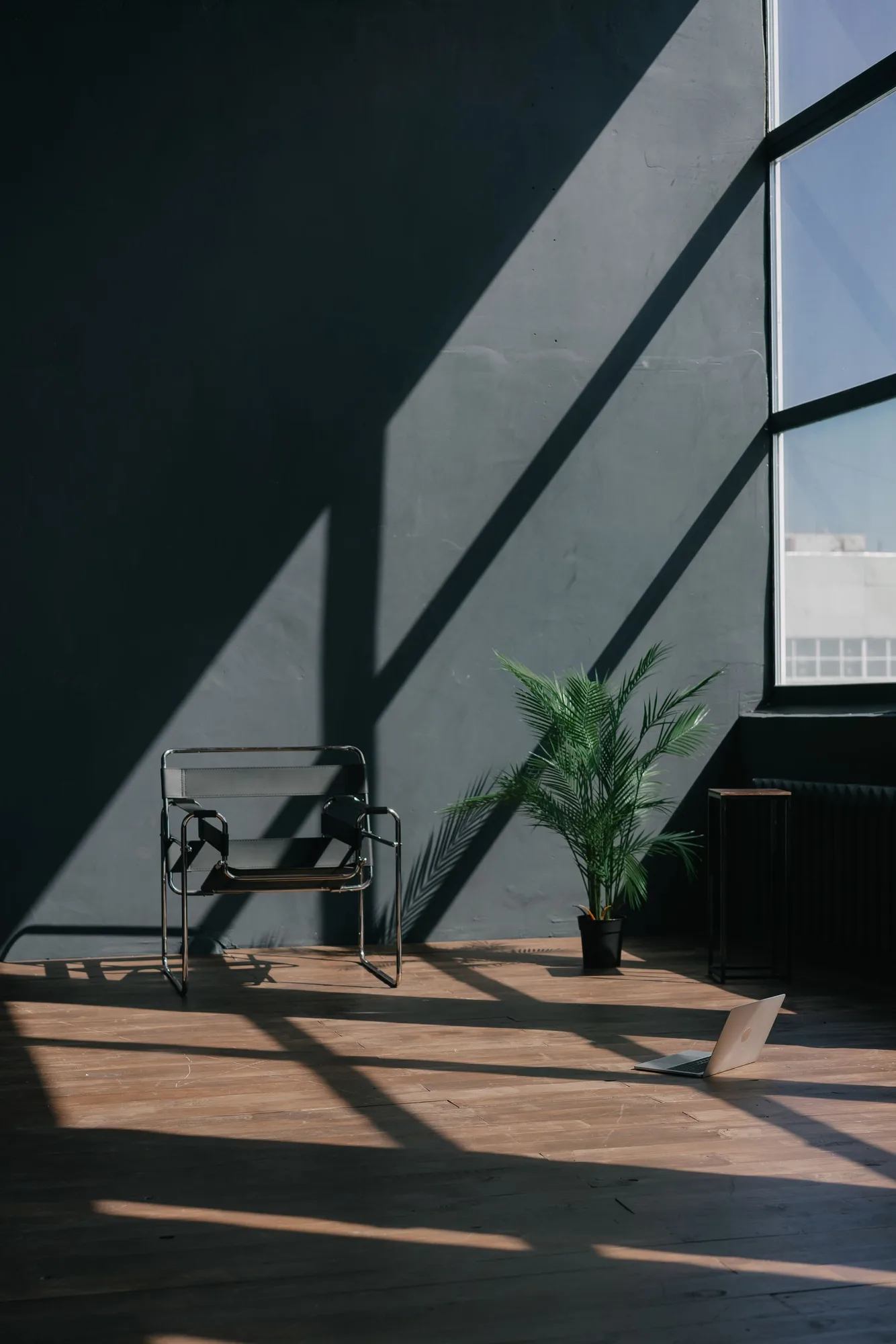 A chair beside a sunlit window and plant