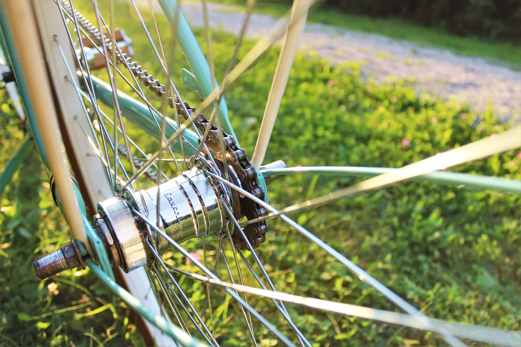 Close-up of a bicycle wheel hub and spokes in sunlight